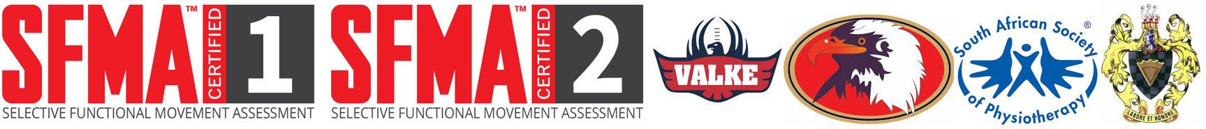Logos of affiliations and partnerships